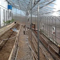 noua generație de scandinavă cu efect de seră fotografie și tehnologie video de modul de a construi vegetary solare (foto) o nouă generație de tehnologie cu efect de seră pe fotografii scandinave și video cum să construiască vegetary solare