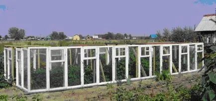 Cu efect de seră din rama ferestrei cu mâinile sale desene, fotografii și înregistrări video ale procesului
