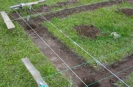 grădină de iarnă cu propriile sale mâini din fereastra de rame pentru Dummies, desene, video