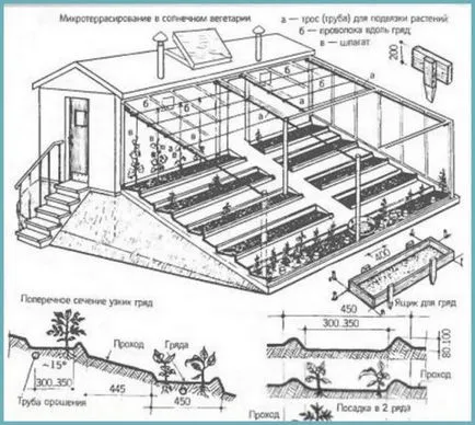 noua generație de scandinavă cu efect de seră fotografie și tehnologie video de modul de a construi vegetary solare (pentru sere) o nouă generație de tehnologie cu efect de seră pe fotografii scandinave și video cum să construiască vegetary solare