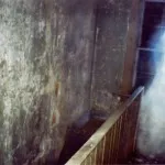 Zambetul mic băiat - povești de viață reale (băiat) Zambetul mic băiat - povestiri din viața reală