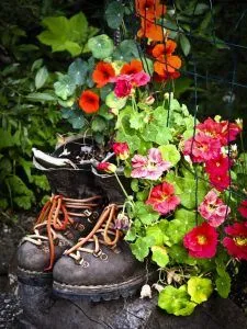 ghivece de flori în aer liber, cu mâinile lor cum să facă (make) ghivece de flori în aer liber cu mâinile lor cum să facă