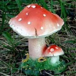 ciuperci decor Plot, cu propriile lor mâini, o clasă de master, foto, video