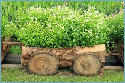 masini de plantat Street pentru flori (false sau nu) fac masini de plantat pentru grădină, cu propriile sale mâini (foto și video) (masini de plantat) masini de plantat Street pentru flori (false sau nu) fac masini de plantat pentru gradina cu propriile sale mâini (foto și video)