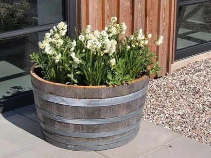 masini de plantat Street pentru flori (false sau nu) fac masini de plantat pentru gradina cu propriile sale mâini (foto și video) (color) masini de plantat Street pentru flori (false sau nu) fac masini de plantat pentru gradina cu propriile sale mâini (foto și video)