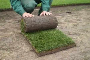 Tehnologia de stabilire pas cu pas instrucțiunile de gazon (stivuire) Gazon de stabilire tehnologie pas cu pas