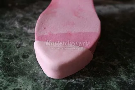 Tort - papuc
