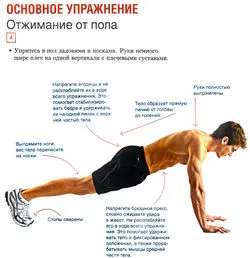 Triceps - Exerciții și caracteristici de formare