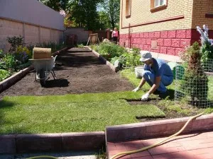 De stabilire gazon cu mâinile sale, pas cu pas (de stabilire gazon cu tehnologia lui mâinile video este prețul de cost) De stabilire gazon cu mâinile sale, pas cu pas
