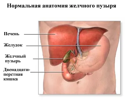 Îndepărtarea colecistopatie (colecistectomia) (fiere) îndepărtarea colecistopatie (colecistectomia)