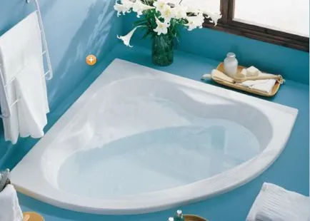 Băi colț de selecție baie și de design de o cameră de 100 de idei gata făcute