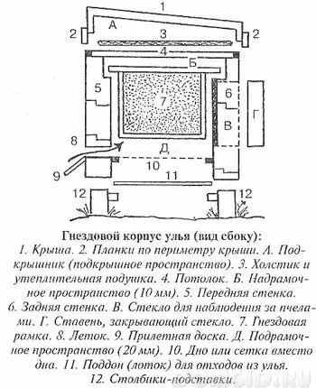 Un stup pentru albine, cum să facă un stup în mod corespunzător, face cu mâinile sale stup (stup de albine) Un stup pentru albine, modul de a face corect un stup, face stup cu mâinile lor