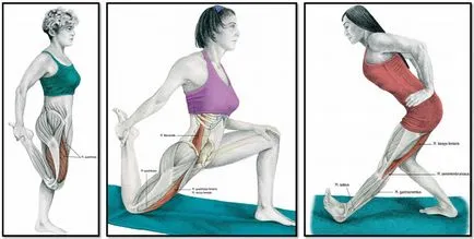 Exerciții de stretching sau musculare cresc mari și foarte mari (întindere) exerciții de stretching sau musculare cresc mari și foarte mari