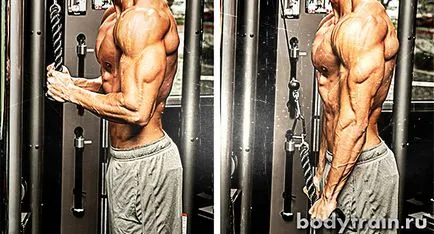 Triceps exerciții, cum ar fi pompa de triceps