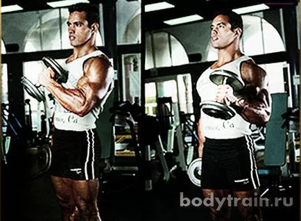 Exercitarea ciocan, cum să ciocan pe biceps dreapta (biceps) Exercitarea ciocan, cum să ciocan pe biceps dreapta