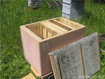 Un stup pentru albine, modul de a face corect un stup, face stup cu mâinile lor (mâini) Un stup pentru albine, modul de a face corect un stup, face stup cu mâinile lor
