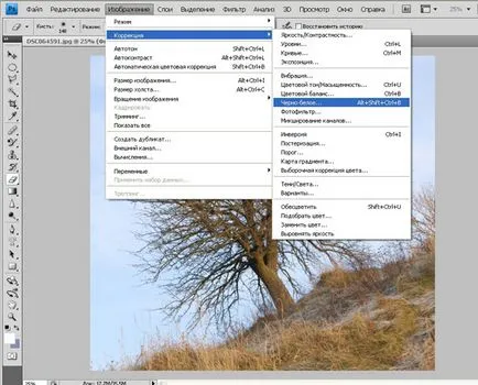 Tutoriale Photoshop
