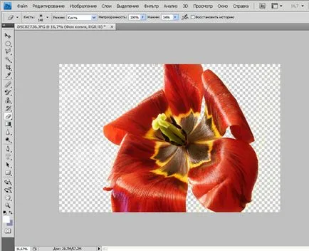 Tutoriale Photoshop