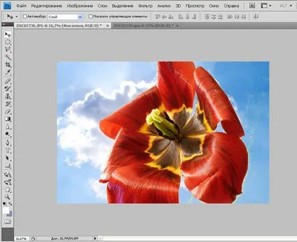 Tutoriale Photoshop