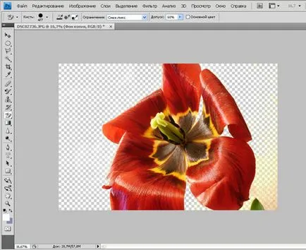 Tutoriale Photoshop