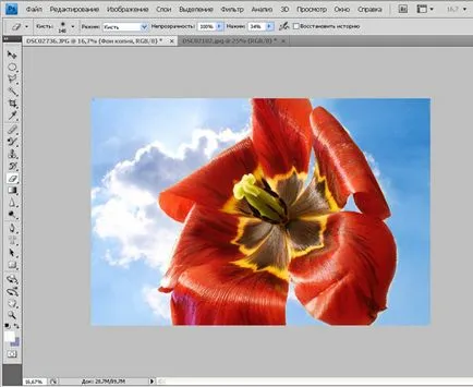 Tutoriale Photoshop