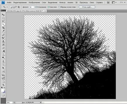 Tutoriale Photoshop