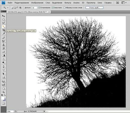 Tutoriale Photoshop