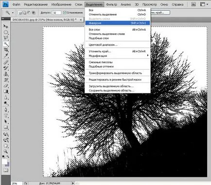 Tutoriale Photoshop