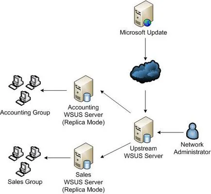 Servicii de instalare de actualizare Microsoft Windows Servicii de actualizare server de