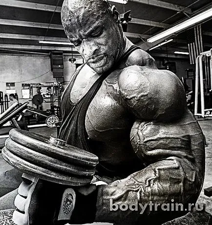 Exercitarea ciocan ca un ciocan pentru a face biceps corect (do) Exercitarea ciocan, cum să ciocan pe biceps dreapta