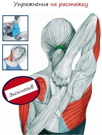exerciții de stretching sau musculare cresc (mușchi), mari și foarte mari exerciții de stretching sau musculare cresc mari și foarte mari