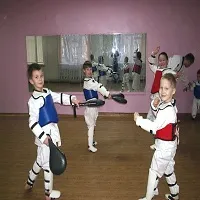 Alegerea unei arte martiale pentru copil, corp la corp românesc (corp la corp) Alegerea unei arte martiale pentru copil, Dogfight română