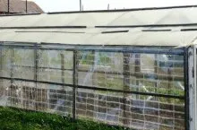 Vegetary Ivanova cum să construiască o nouă generație de mâini proprii cu efect de seră (vegetary) Vegetary Ivanova cum să construiască o nouă generație de mâini proprii cu efect de seră