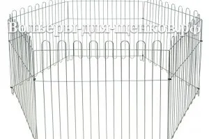 Cuști pentru catei 1000 de ruble, celule, șezlong, un Aviary pentru căței, York, țarc pentru căței, București (pisică) Cuști pentru catei 1000 de ruble, celule, șezlong, o crescătorie de păsări pentru căței, York, țarc pentru căței, în București,