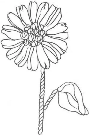 benzi de broderie
