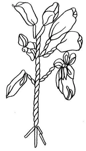 benzi de broderie