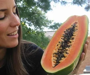 Parul este tăiat pe întreaga lungime a ceea ce să facă metode eficiente de a face cu noxe (păr de ce sunt tăiate) Parul este tăiat pe întreaga lungime a ceea ce să facă metode eficiente pentru a combate poluarea