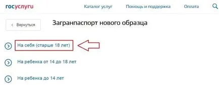 Pașaport prin intermediul serviciilor publice