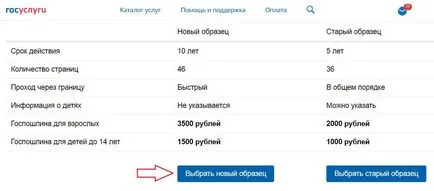 Pașaport prin intermediul serviciilor publice