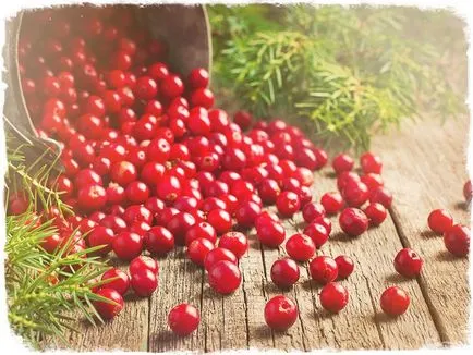 afine fructe de pădure și beneficiile lor de sănătate pentru corpul nostru