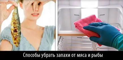 Mirosul în frigider - cum să scape rapid de popular, și magazin înseamnă, video și recenzii