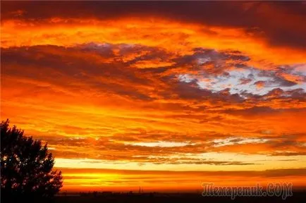 fulger de vară - un fenomen natural, înainte de furtuna (naturale) fulger de vară - un fenomen natural înainte de furtună