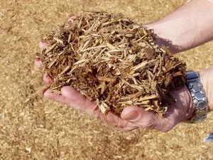 Izolație pentru încadrarea bai pe materialele de perete și selectarea lor, tehnologia de izolare termică (izolație) Izolație pentru încadrarea bai pe materialele de perete și alegerea tehnologiei de izolare termică