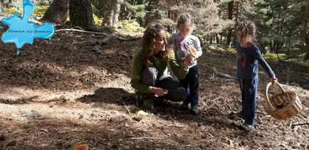 Liniștitor ierburi pentru copii, care pot fi utilizate phytoremedy (copii) ierburi liniștitoare pot fi folosite pentru orice copii phytoremedy