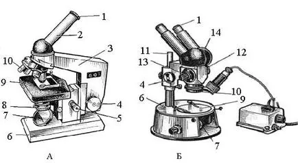Dispozitivul de microscop și regulile de lucru cu ea (de lucru) Dispozitivul de microscop și regulile de lucru cu el