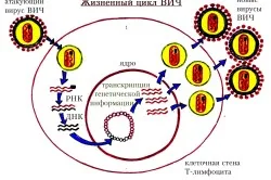 стоп ЗПСШ