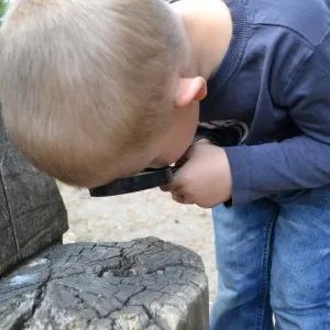 як лікувати білі глисти