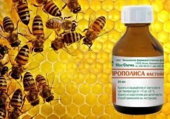 Застосування прополісу в стоматології як лікувати ясна настоянкою прополісу