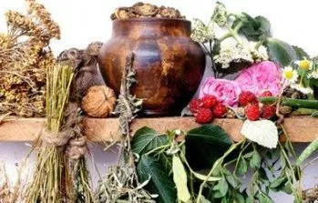 ревматологія