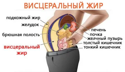 як лікувати гепатоз печінки в домашніх умовах
